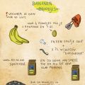 bananen broodjes