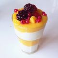 Magnificant Mango Parfait (V)