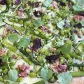 Flammkuchen met pancetta, groene asperges,[...]