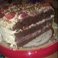 Gelaagde chocoladecake