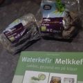Waterkefir