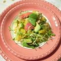 Salade van kreeft, sinaasappel en avocado