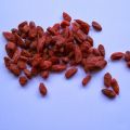 Superfoods: niet zo super volgens het[...]