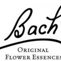 Bachbloesems