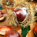 Herfst