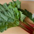 Lentejam: rabarber en aardbeien