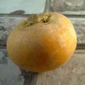Puree van aardappel met boterraap