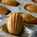 Madeleines
