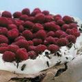Chocolade Pavlova