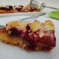 Pruimenkruimelkoek