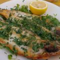 Forel van het Gardameer