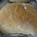 Ciabatta broodjes ( desem )