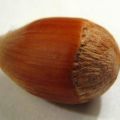 Test 2