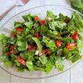 Kuzu kulağı salatası (Turkse salade met zuring)