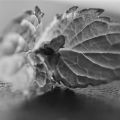 A picture a day ...