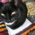 Leuke Tip voor een ander veelbekeken blog-onze[...]