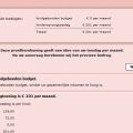 Vrouwen aan het werk