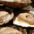 herten-carpaccio met oester en[...]
