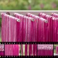 Think pink... met bietjes