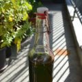 basilicumolie - basil oil (GF-DF-SF-V)