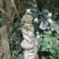 De prachtige beelden in de Schaduwtuin in[...]