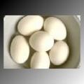 Romige kerrieschotel met eieren