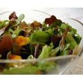 Salade van mesclun en mango met gember-wortel[...]