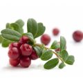 Cranberry Appel Chutney