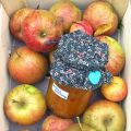 Pittige appelchutney