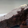 Gezonde brownies