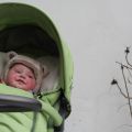 Wolf is 6 maanden!
