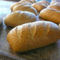 Bruin Grof brood