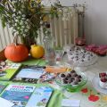 Vegan promotie