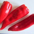 Kırmızı biber (Turkse rode puntpaprika)