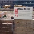 Moestuinen op Katendrecht