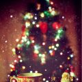 Kerstvakantie Guide