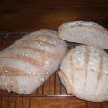 Naschrift: desembrood bakken en chutney koken[...]