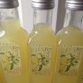 Limoncello