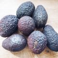 Avocado populair.. maar waarom?