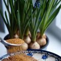 Stevig Ontbijtbrood voor Wentelteefjes