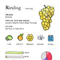 De rijkdom van Riesling