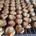 Havermeel - Quinoameel cranberry's koekjes