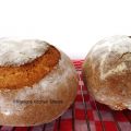 Zuurdesem of gist? Viergranen boule ( zuurdesem[...]