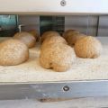 Half om Half brood