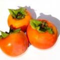 WK Fruit