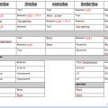 Lessenrooster opgemaakt en experimenteren met[...]