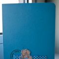 Babykaartje