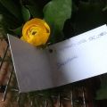 Mooie bos bloemen gekregen van de Direktbank
