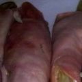 Witlof met ham