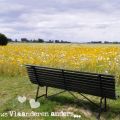 Zeeuws Vlaanderen anders...